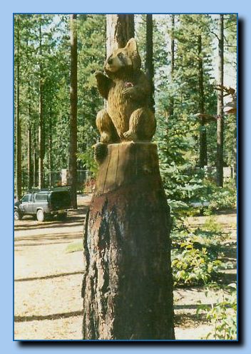 2-22a raccoon-archive